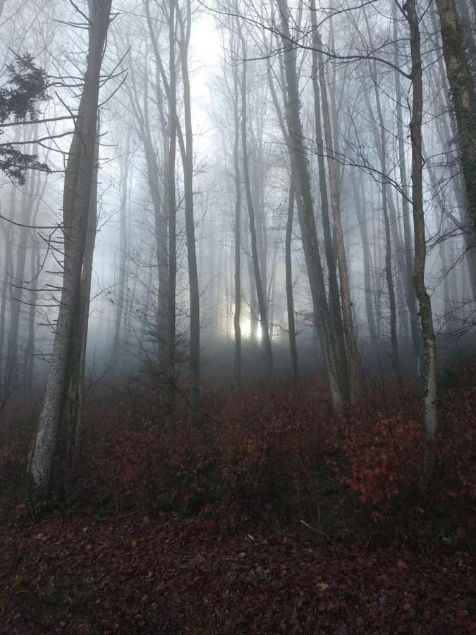 Apartmaji Lejardin Škofljica Exteriör bild